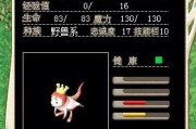 《魔力宝贝》魔枪骑士新手向魔枪加点以及配装小结