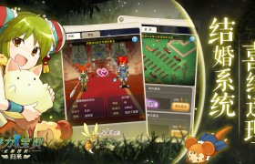 《魔力宝贝》暗个人加点和配装分享