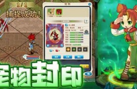 魔力宝贝忍者职业PVP技巧攻略-魔力宝贝忍者职业pvp技巧攻略图