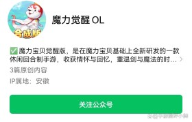 魔力宝贝回忆合成版礼包码怎么用啊