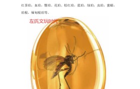 魔力宝贝琥珀之星介绍琥珀之星获取方法