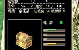 《魔力宝贝》新手指导向月主神殿PVP五点注意事项