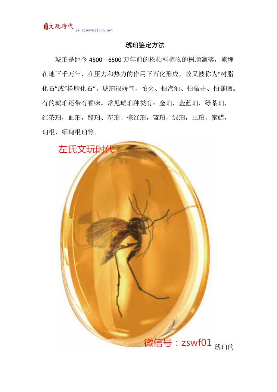 魔力宝贝琥珀之星介绍琥珀之星获取方法