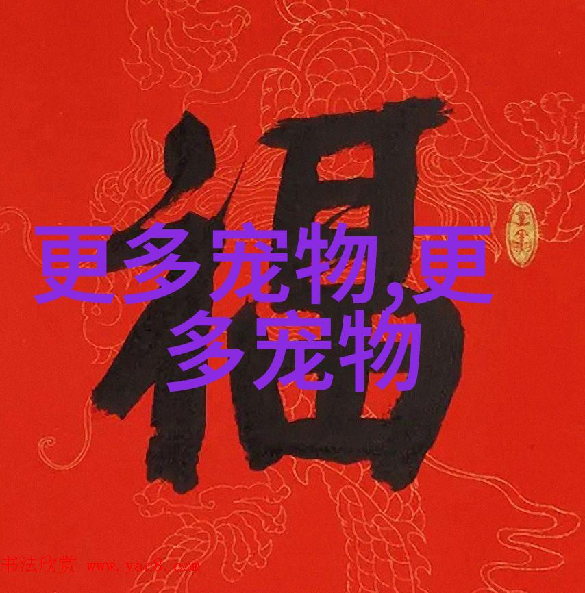 宠物调教等级和宠物面板忠诚上限的关系查询
