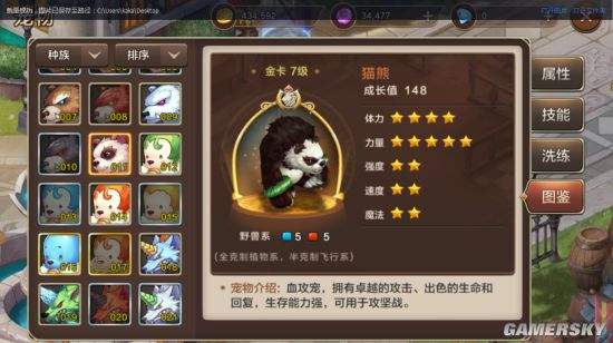 魔力宝贝宠物介绍凶暴仙人掌技能一览
