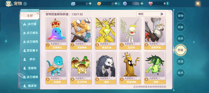 魔力宝贝物宠和法宠怎么选择?
